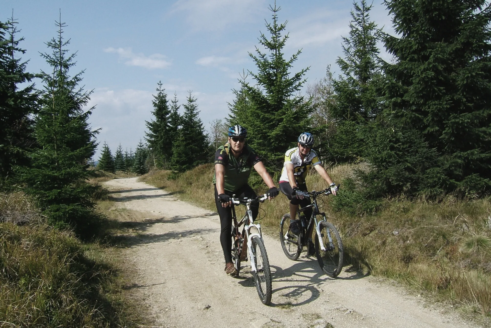 Cyklisté na horské cestě mezi smrkovými lesy Jizerských hor