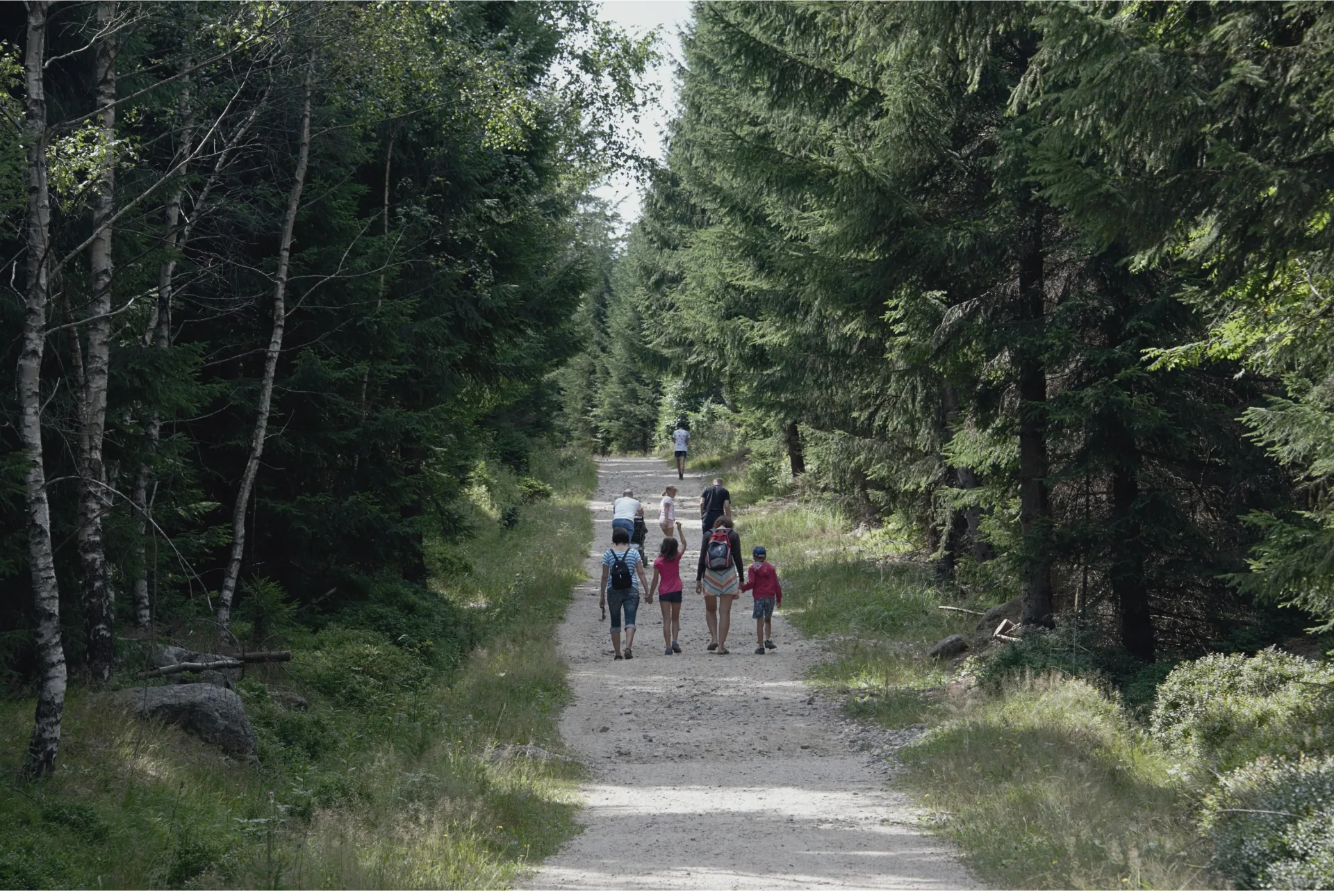 Rodina na pěším výletě po lesní cestě v Jizerských horách nedaleko resortu Montanie.